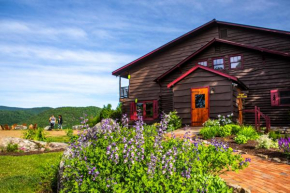 Отель Garnet Hill Lodge  Север Крик